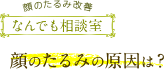 顔のたるみ改善なんでも相談室 顔のたるみの原因は？