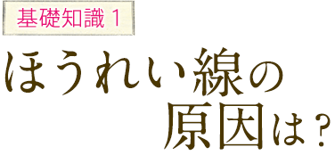 基礎知識1 ほうれい線の原因は？