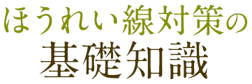 ほうれい線対策の基礎知識