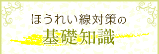 ほうれい線対策の基礎知識