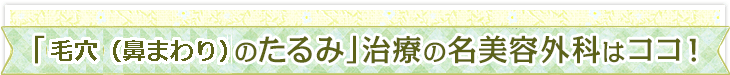 「たるみ毛穴」治療の名美容外科はココ！